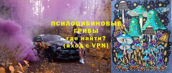 амф Мегион