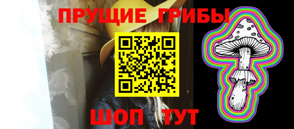 Галлюциногенные грибы Psilocybine cubensis Мирный